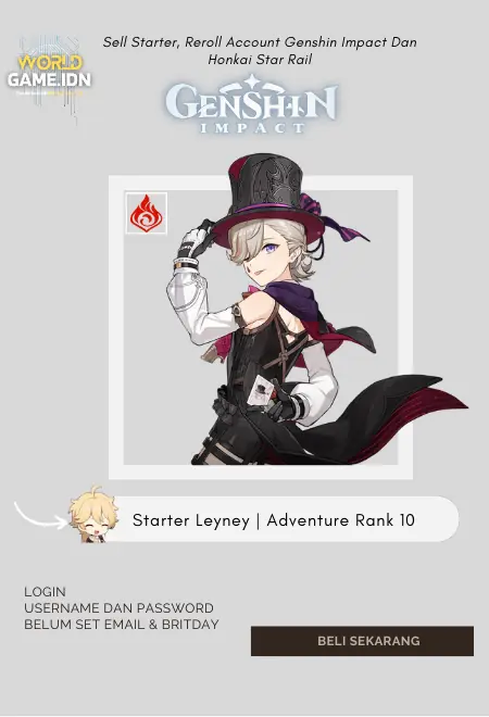 Starter Leyney | Adventure Rank 10 Aether Mc